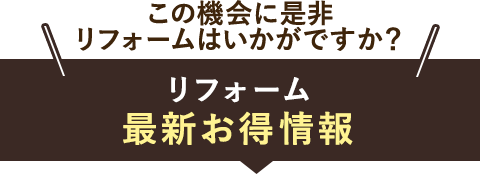 最新お得情報